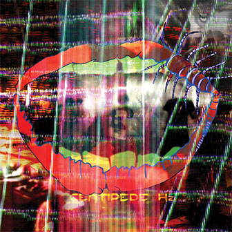 "Centipede Hz" album by Animal Collective