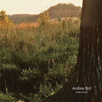 "Noble Beast" album by Andrew Bird