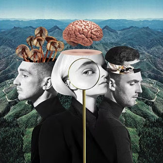 "What Is Love?" album by Clean Bandit
