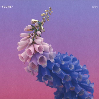 "Skin" album by Flume