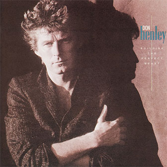 "Not Enough Love In The World" by Don Henley