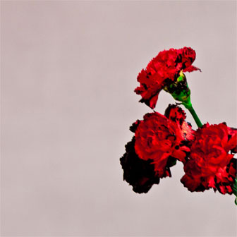 "You & I (Nobody In The World)" by John Legend