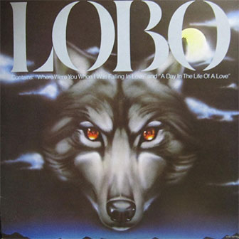 "Where Were You When I Was Falling In Love" by Lobo