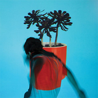 "Sunlit Youth" album by Local Natives