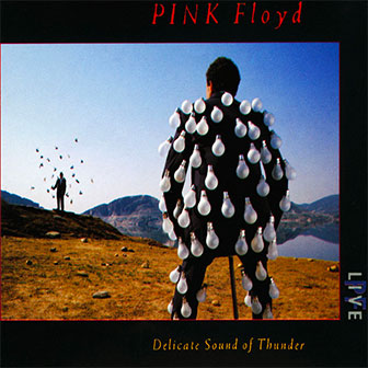 "Delicate Sound Of Thunder" album by Pink Floyd