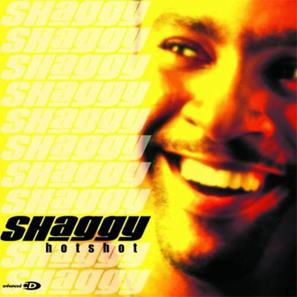 "Hotshot" album by Shaggy