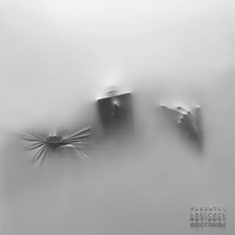 "Cocoon" album