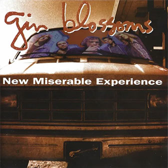 "New Miserable Experience" album by Gin Blossoms