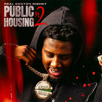 "Public Housing, Pt. 2" album by Real Boston Richey