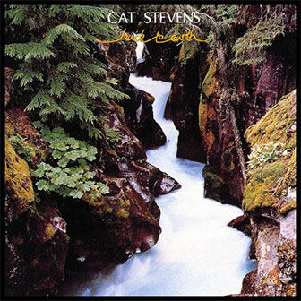 "Back To Earth" album by Cat Stevens