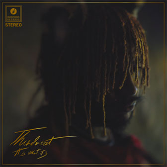 "It Is What It Is" album by Thundercat