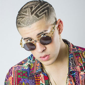 Bad Bunny Album and Singles Chart History | Music Charts Archive